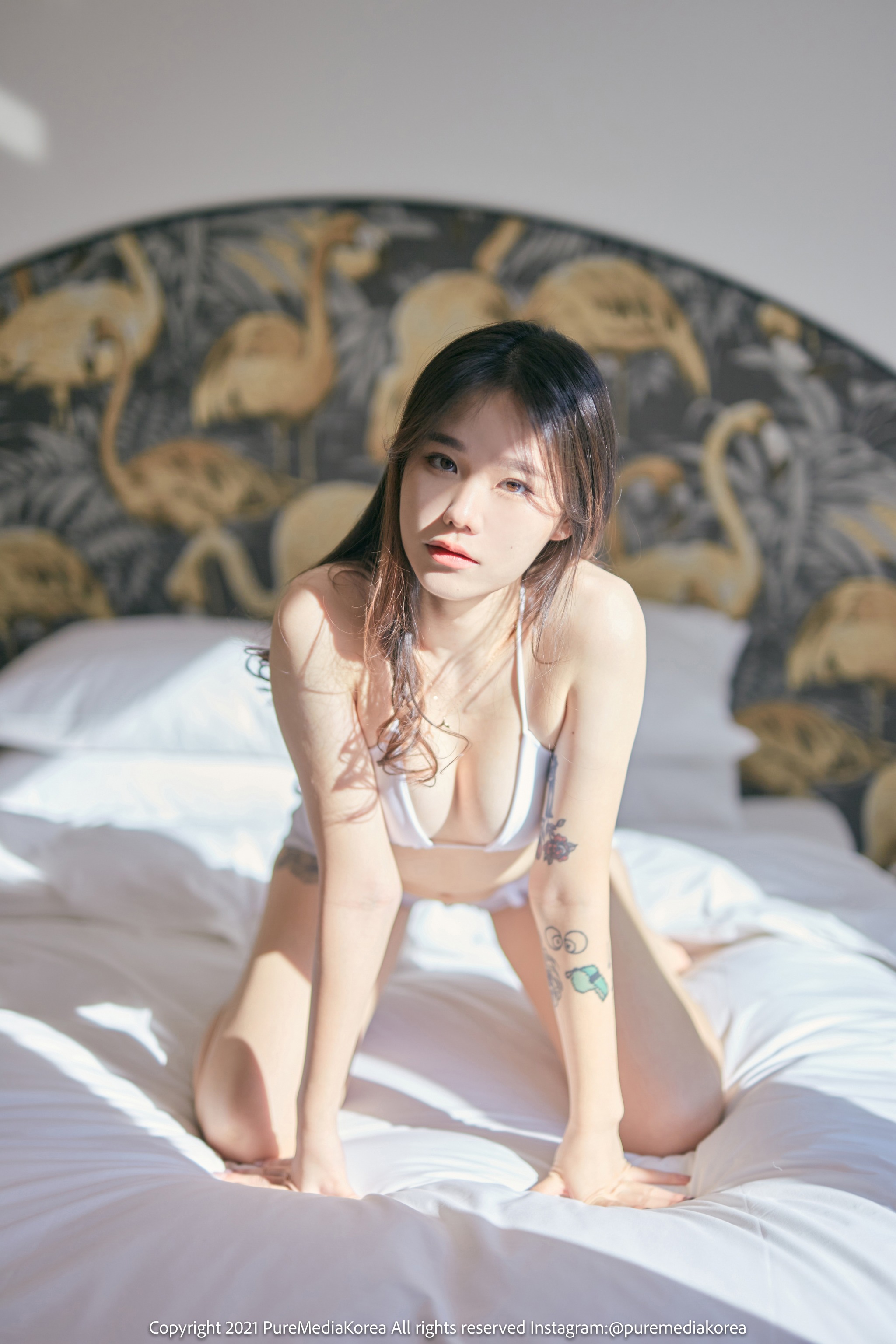 图片[1]-Sira(시라) – NO.006 Pure Media Vol.140[104P]-XikXak